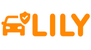 Lily DMS